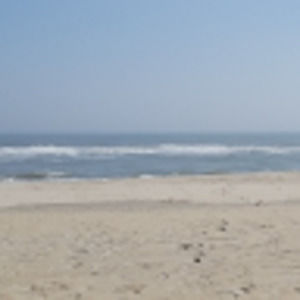 Meet your Posher, Chelsea